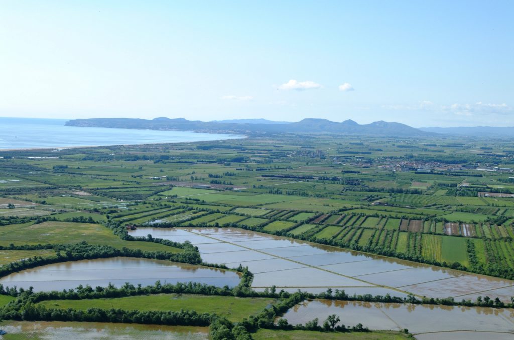 Els Aiguamolls de l'Empordà